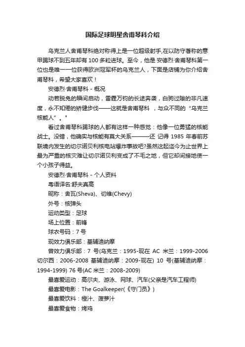 国际足球明星舍甫琴科介绍