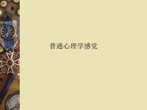 普通心理学感觉