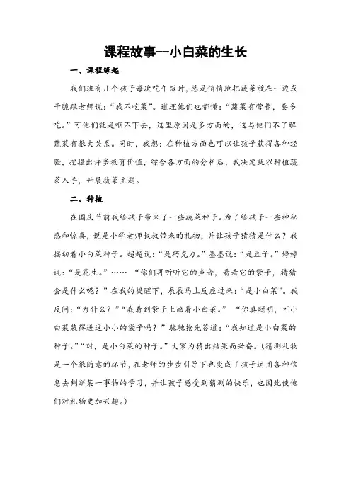 幼儿园课程故事--小白菜的生长