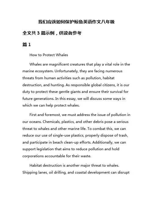我们应该如何保护鲸鱼英语作文八年级