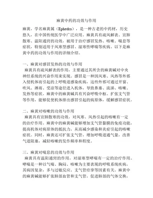麻黄中药的功效与作用