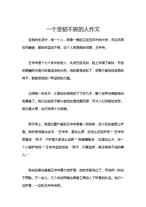 一个坚韧不拔的人作文