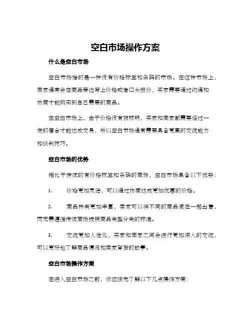 空白市场操作方案