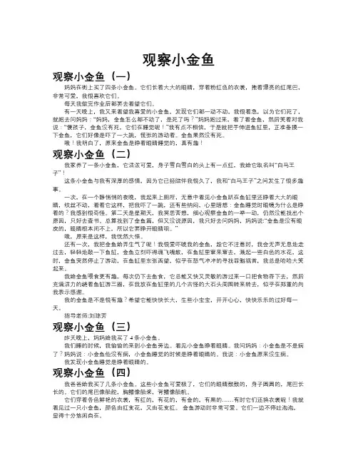 观察小金鱼作文共九篇
