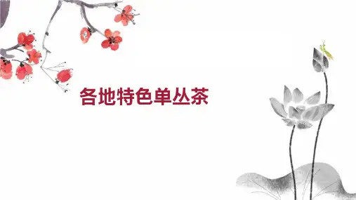 各地特色单丛茶