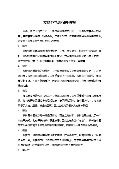 立冬节气的相关植物