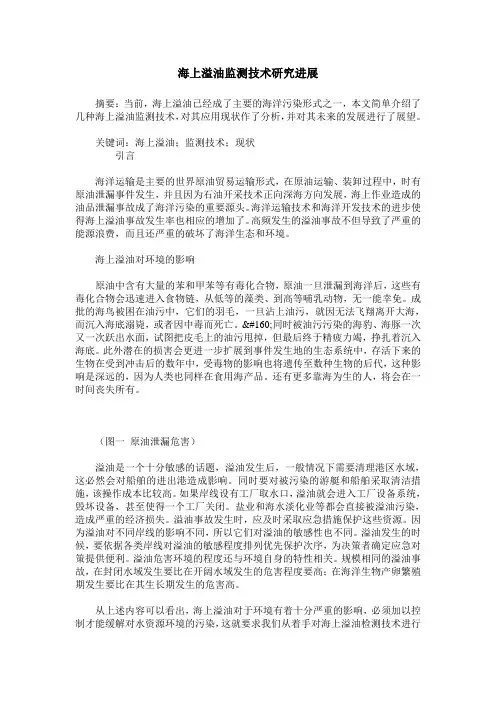 海上溢油监测技术研究进展