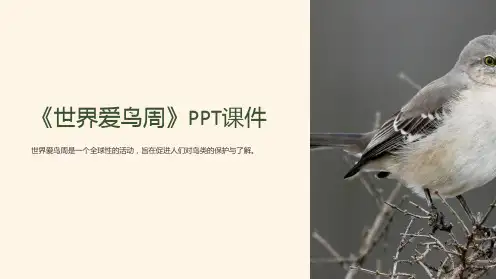 《世界爱鸟周》课件