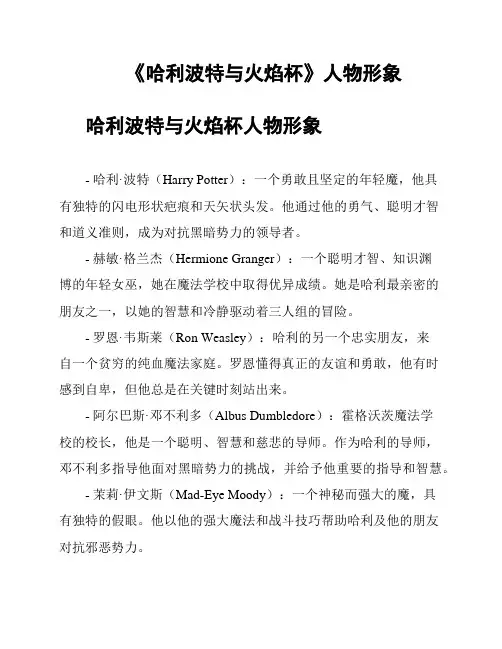 《哈利波特与火焰杯》人物形象