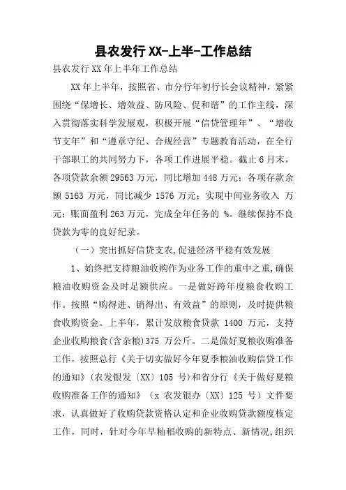县农发行XX-上半-工作总结