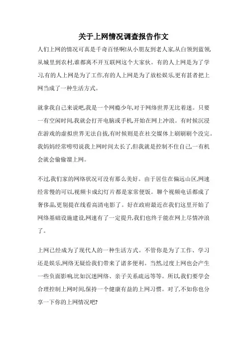 关于上网情况调查报告作文