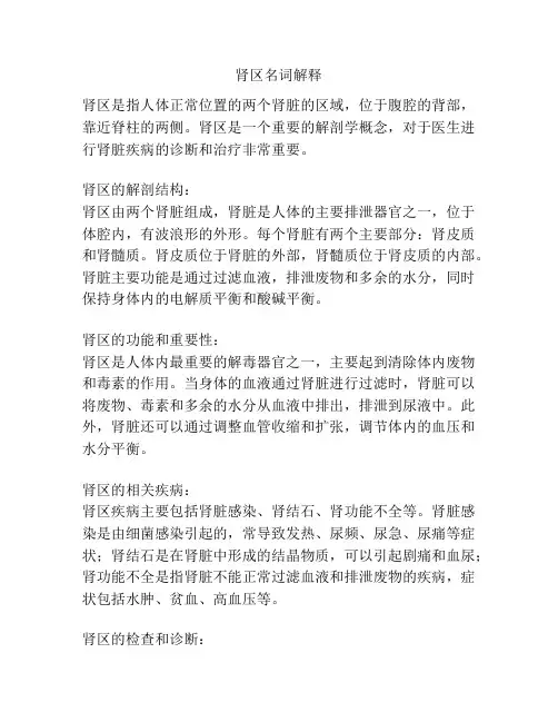 肾区名词解释