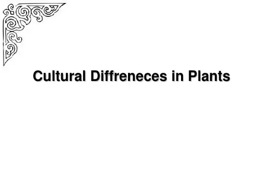 中西方文化差异之植物知识讲解