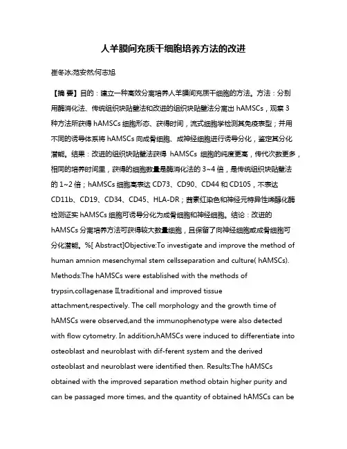 人羊膜间充质干细胞培养方法的改进