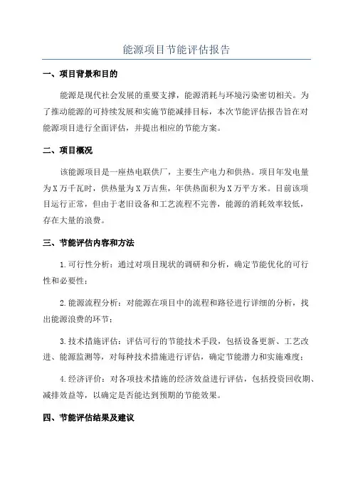 能源项目节能评估报告
