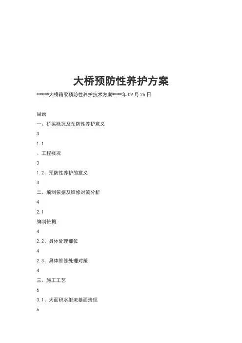 大桥预防性养护方案