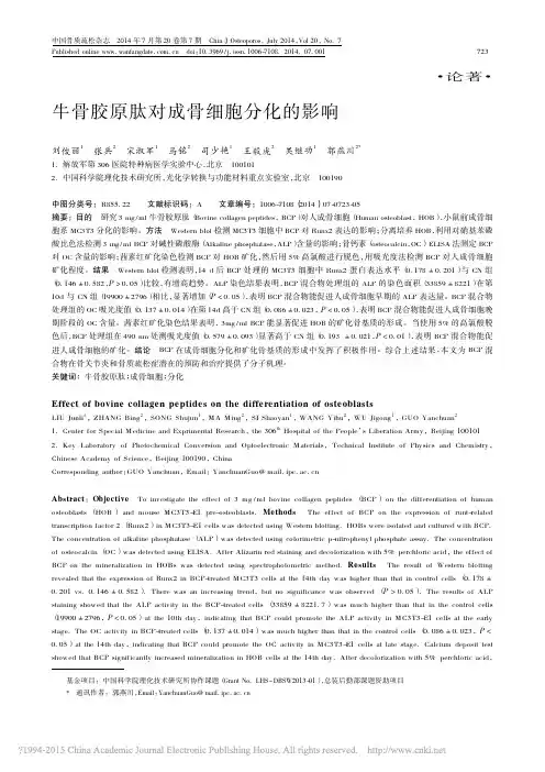 牛骨胶原肽对成骨细胞分化的影响_刘俊丽