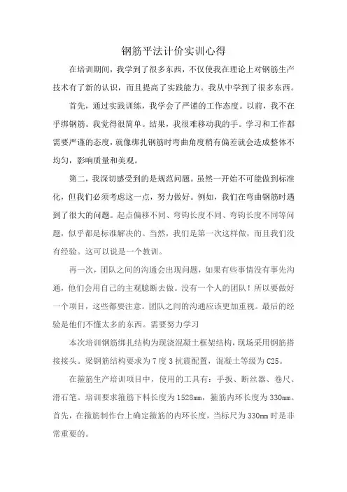 钢筋平法计价实训心得