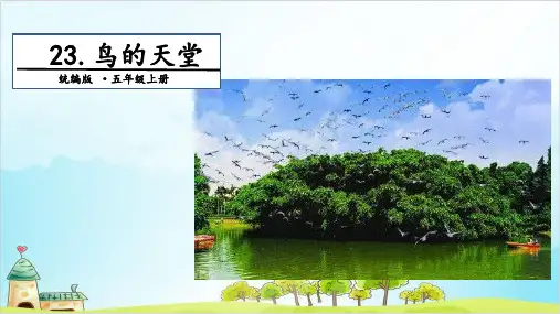 人教版(部编本)五年级上册鸟的天堂第二课时(完美版)PPT课件