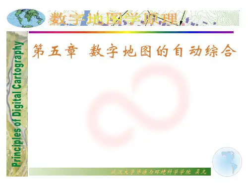 本科第五章数字地图的自动综合
