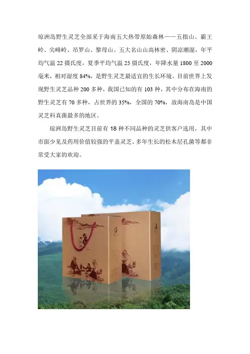 琼洲岛野生灵芝的作用