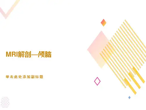 颅脑的MRI解剖