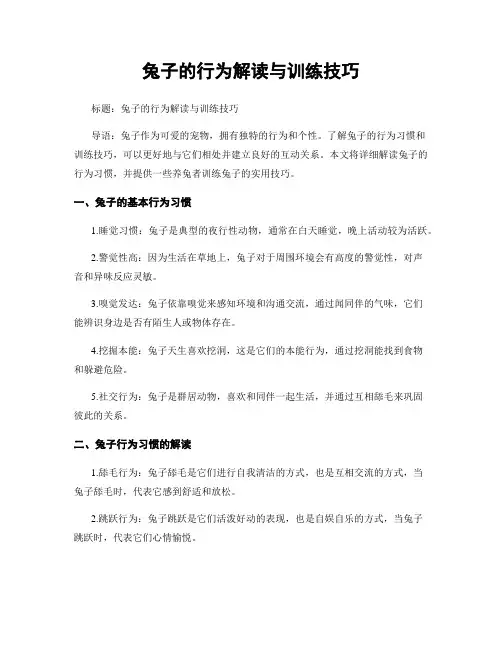 兔子的行为解读与训练技巧