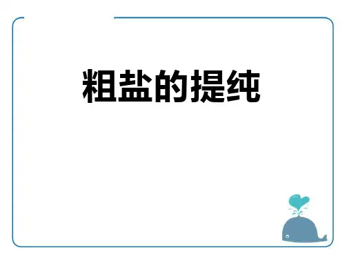 《粗盐的提纯》PPT精选教学课件