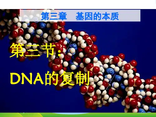 人教版高中生物必修二优秀课件：第三章第3节《DNA分子的复制》(共67张PPT)