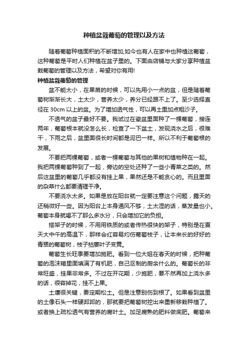 种植盆栽葡萄的管理以及方法