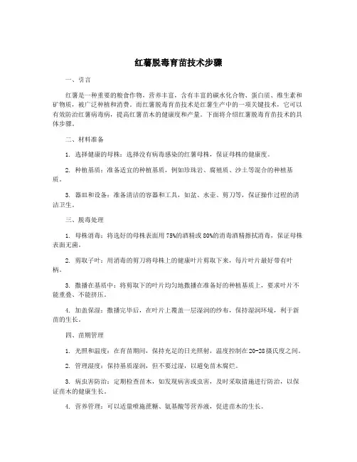 红薯脱毒育苗技术步骤