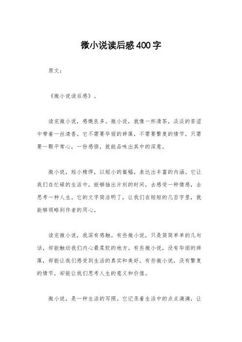 微小说读后感400字