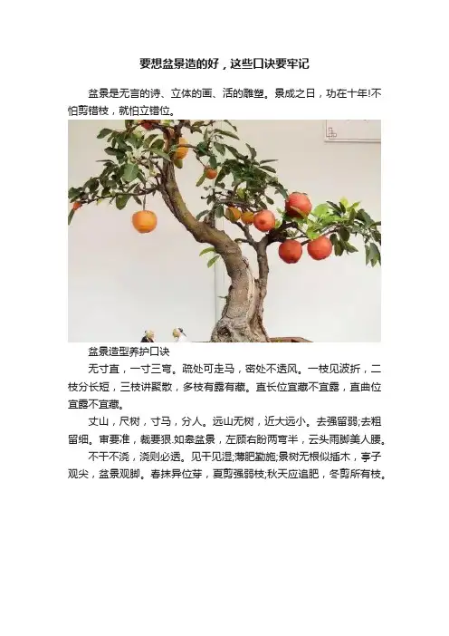 要想盆景造的好，这些口诀要牢记