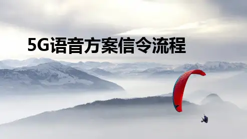 5G核心网语音方案信令流程