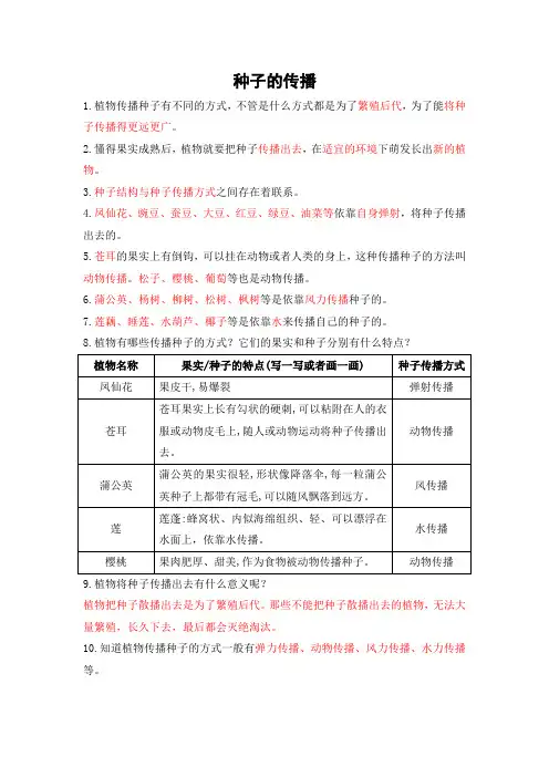 《种子的传播》知识总结
