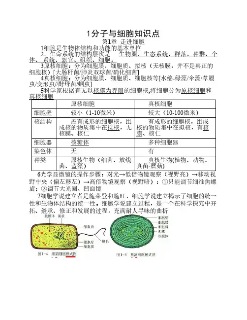 1分子与细胞知识点
