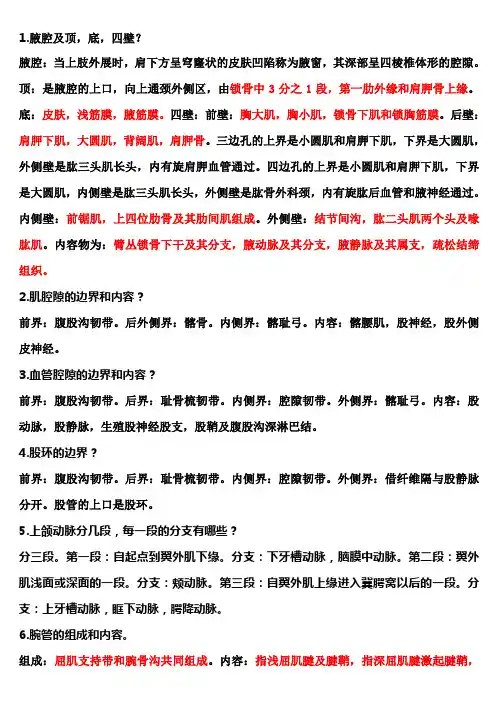 局部解剖学重点总结