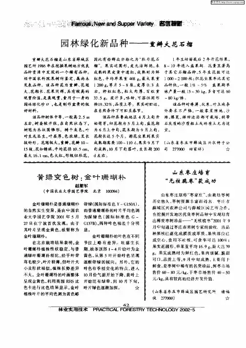 园林绿化新品种——重瓣大花石榴