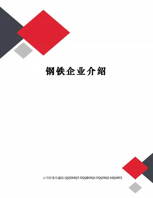 钢铁企业介绍精编版