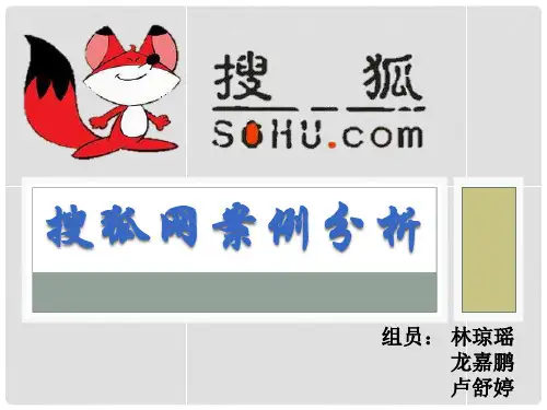 搜狐案例分析