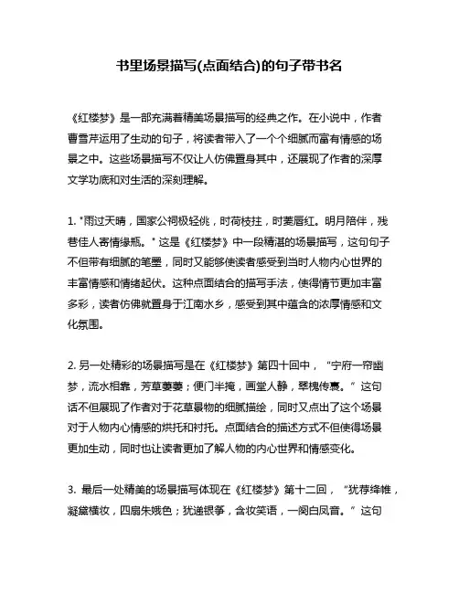 书里场景描写(点面结合)的句子带书名
