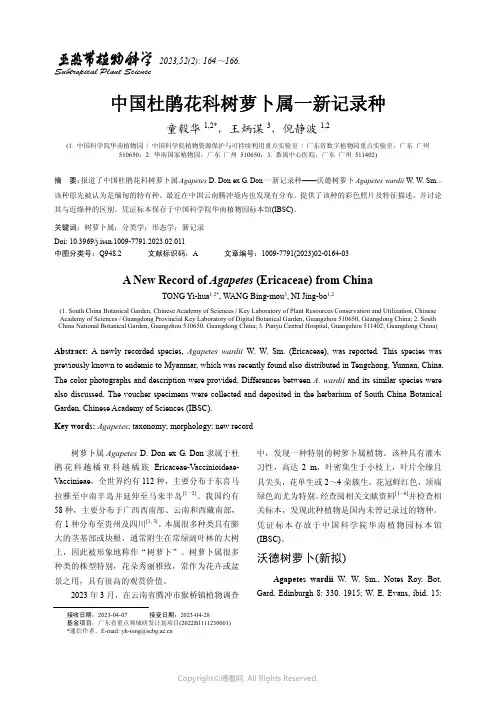 中国杜鹃花科树萝卜属一新记录种