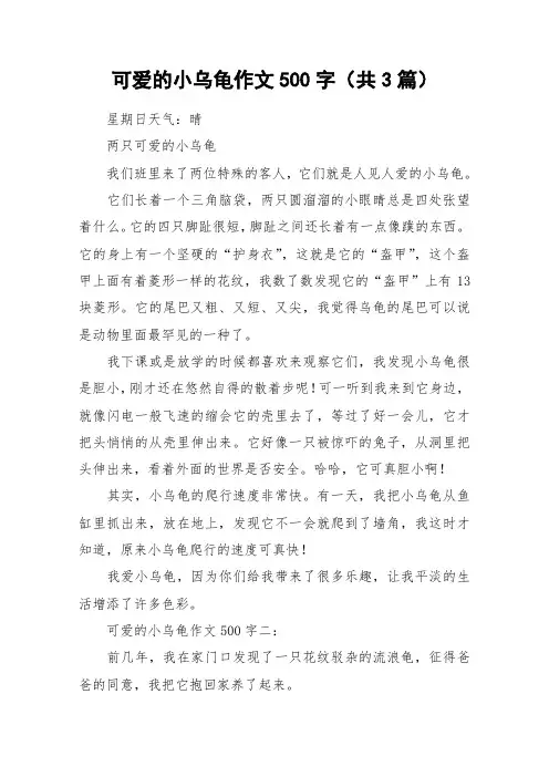 可爱的小乌龟作文500字(共3篇)_作文