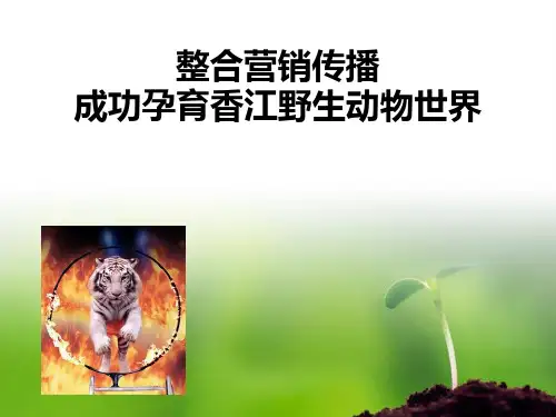 整合营销传播 案例分析