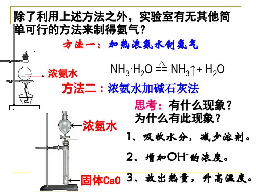 高中化学-1.24 硫酸、硝酸