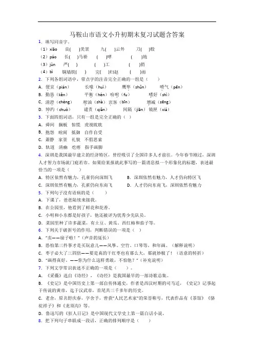 马鞍山市语文小升初期末复习试题含答案