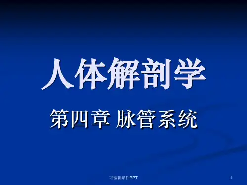 人体解剖学脉管系统-动脉系统PPT课件