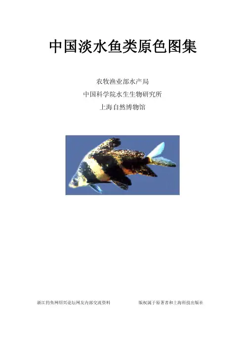 中国淡水鱼类原色图集