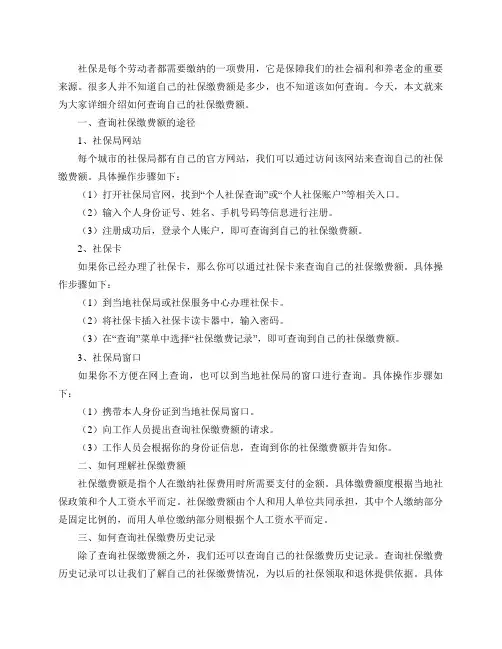 如何查询自己的社保缴费额？