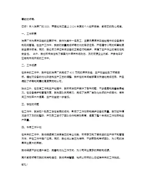 洗煤厂个人述职报告